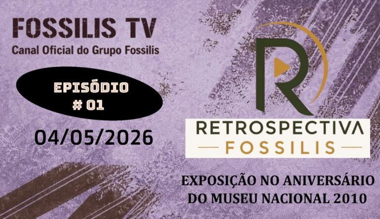Apresentação6