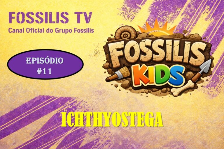 PROGRAMA - 11 logo