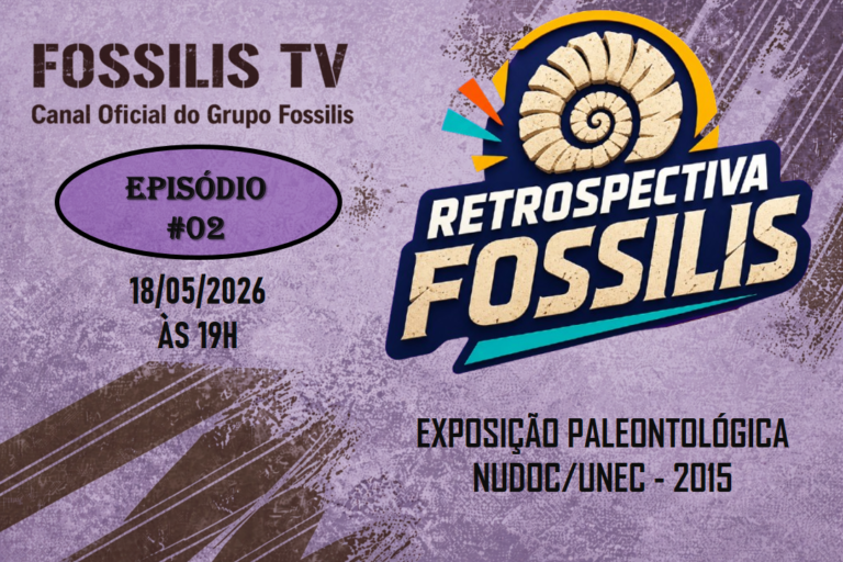 PROGRAMA - 01