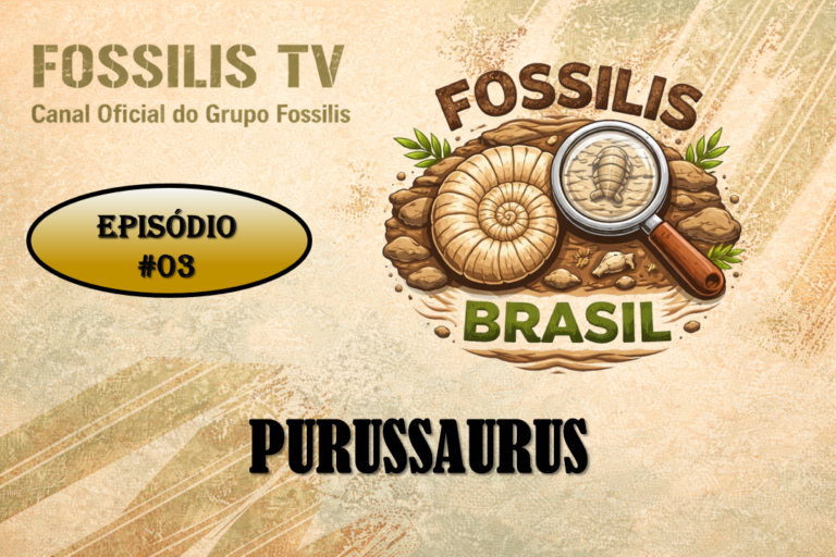 PROGRAMA - 03