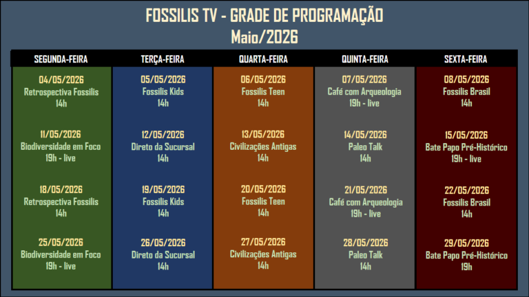 PROGRAMAÇÃO - 05-2026 OK