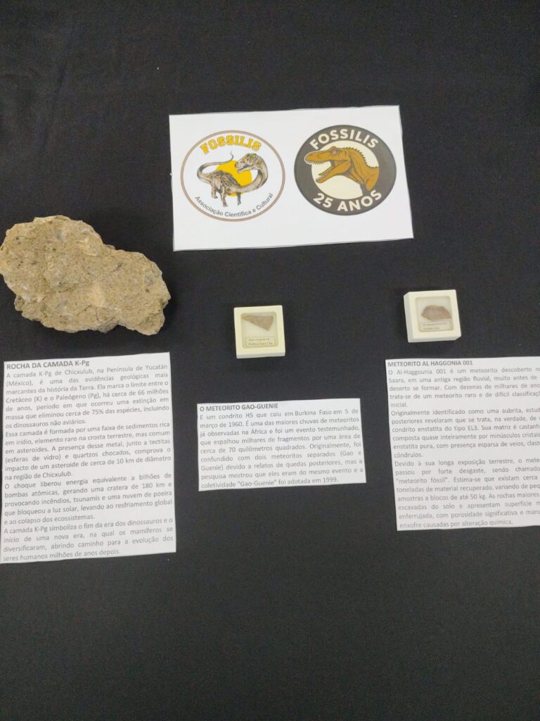 WhatsApp Image 2025-10-11 at 13.11.34