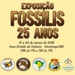 25 anos fossilis