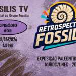 PROGRAMA - 01