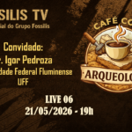cafe 06